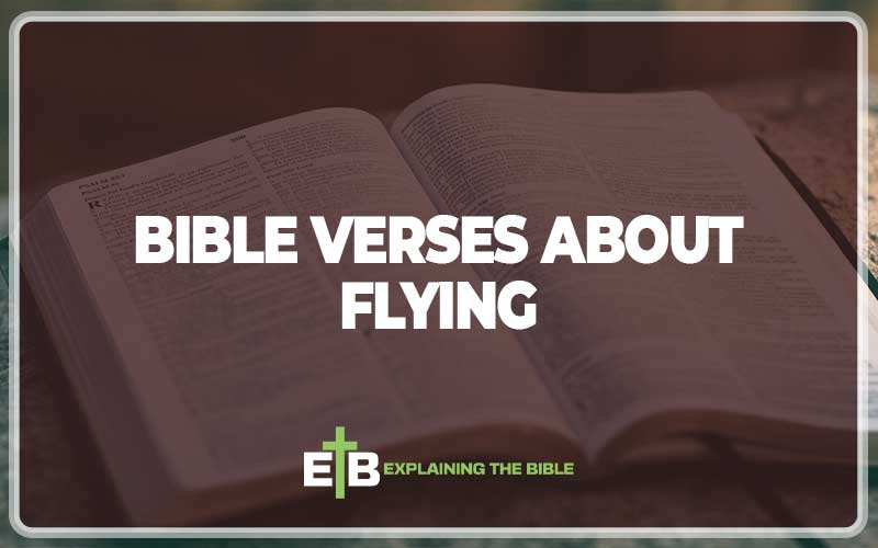 Bible Verses About Flying