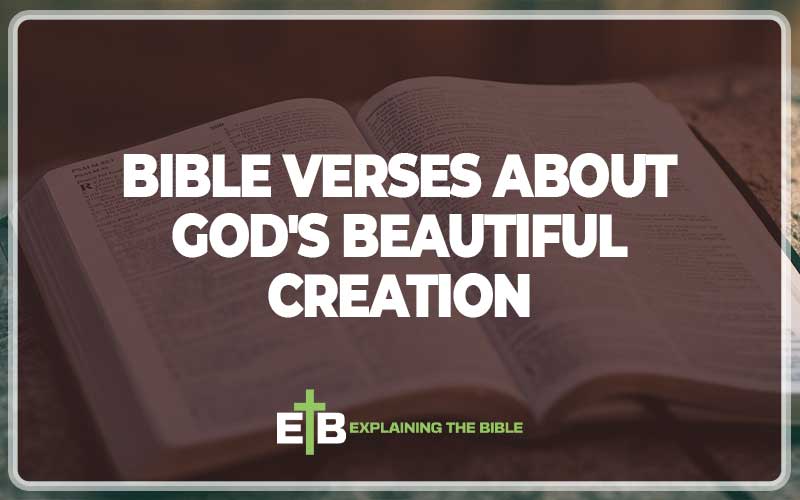 Bible Verses About God'S Beautiful Creation