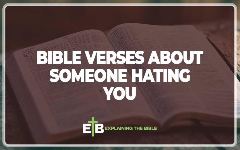 Bible Verses About Someone Hating You