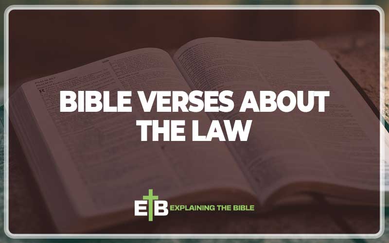 Bible Verses About The Law