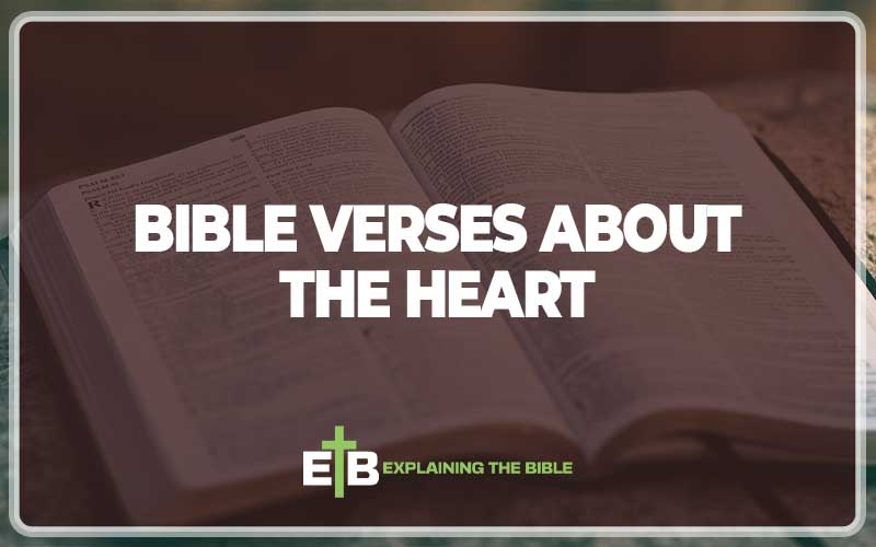 Bible Verses About the Heart