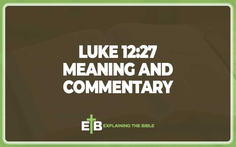 Luke 12:27