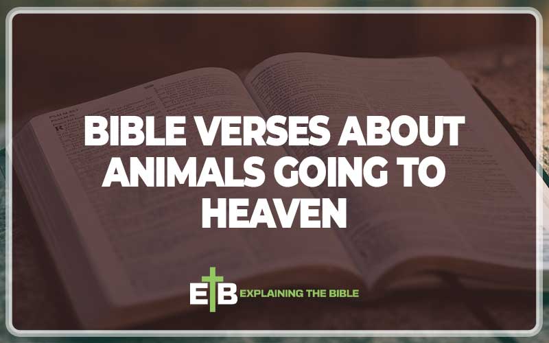 Bible Verses About Animals Going To Heaven