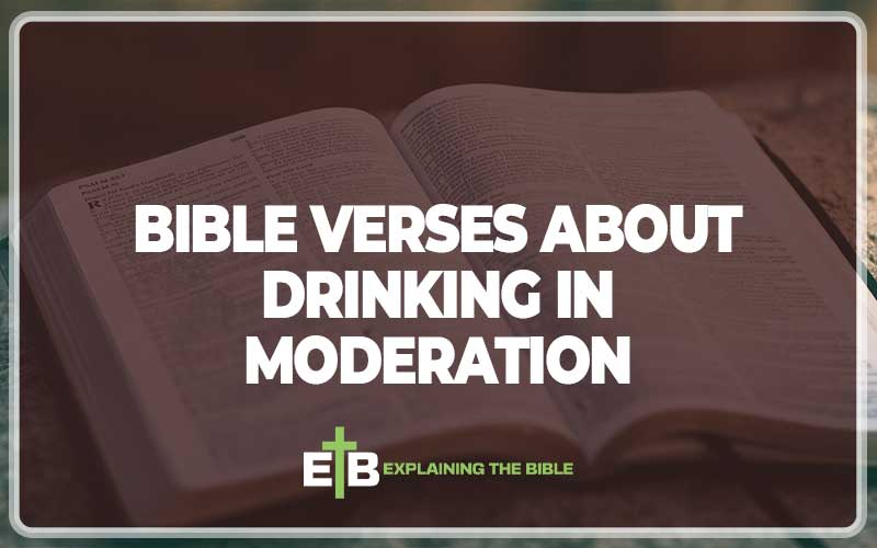 Bible Verses About Drinking In Moderation