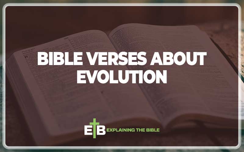 Bible Verses About Evolution