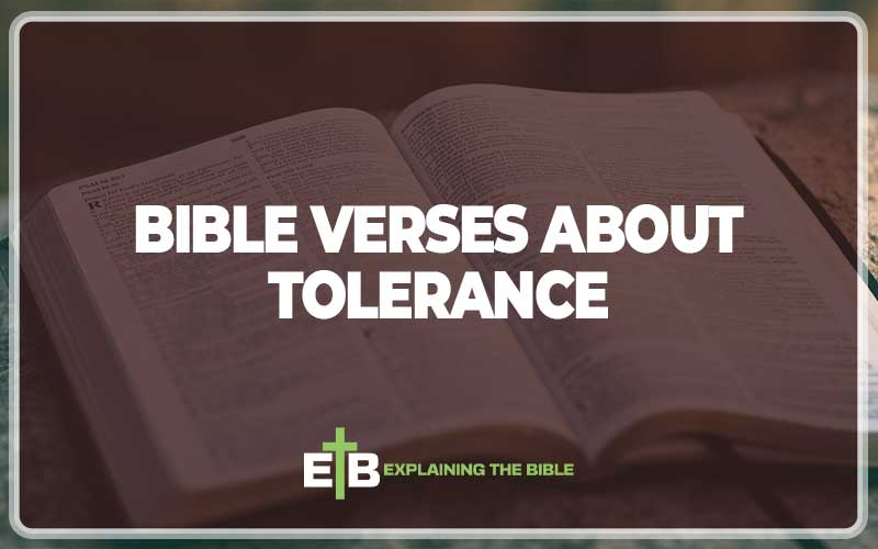 Bible Verses About Tolerance