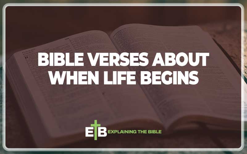 Bible Verses About When Life Begins