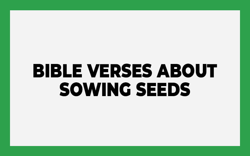 Bible Verses About Sowing Seeds