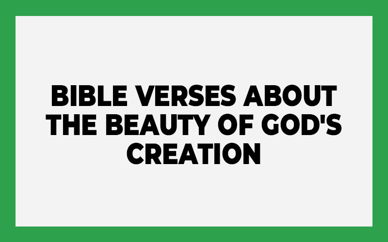 Bible Verses About The Beauty Of God'S Creation